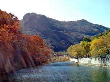 新澳天天开奖资料大全旅游团，现代都市小说